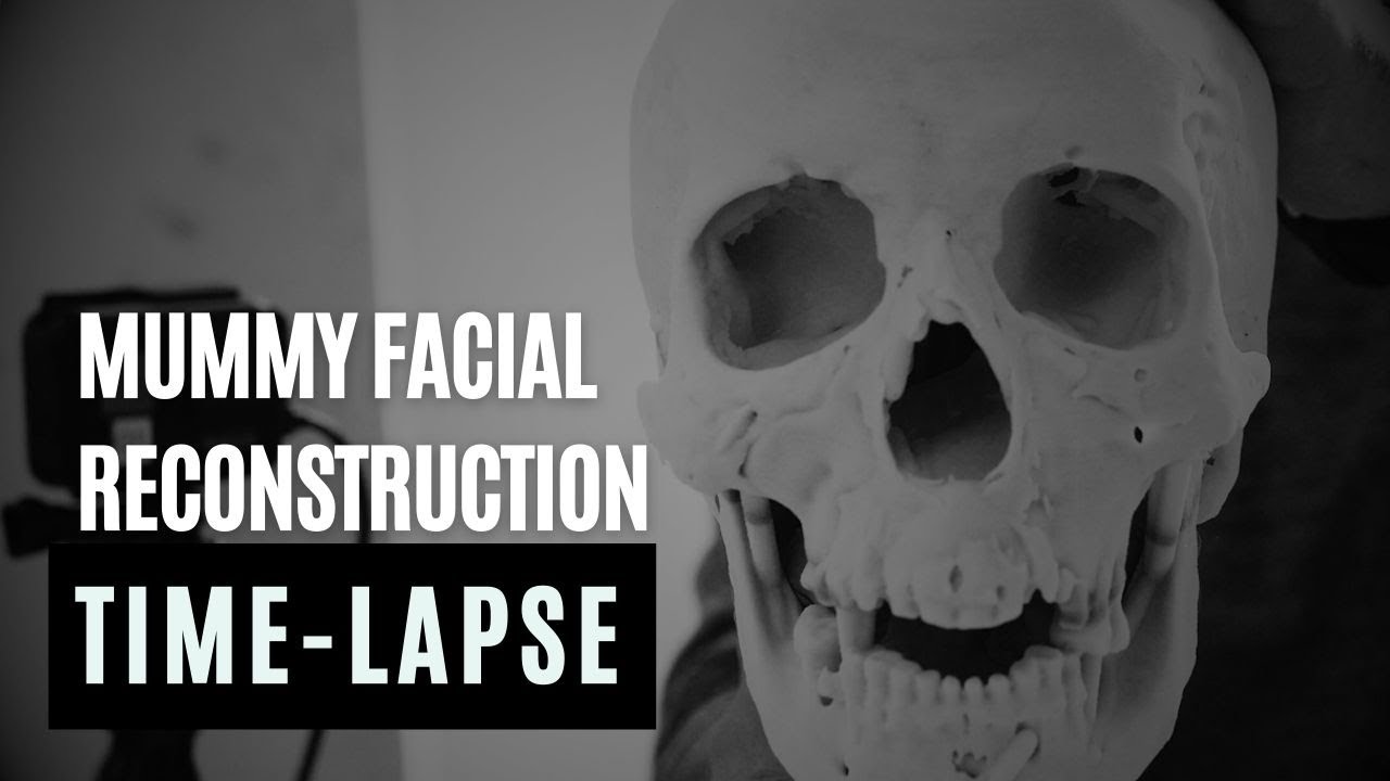 Witness History Unfold: Forensic Reconstruction Reveals Mummy's Face
