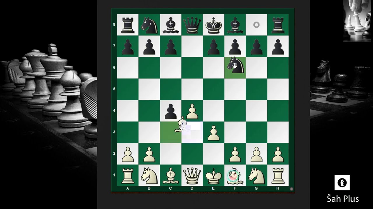 Damin Gambit – Greške u Šahovskim Otvaranjima na Šah Plus Kanalu