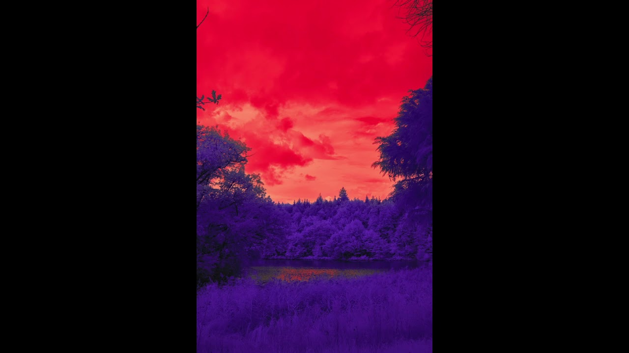 [FREE] Orchestral Jungle Type Beat 2021 - 