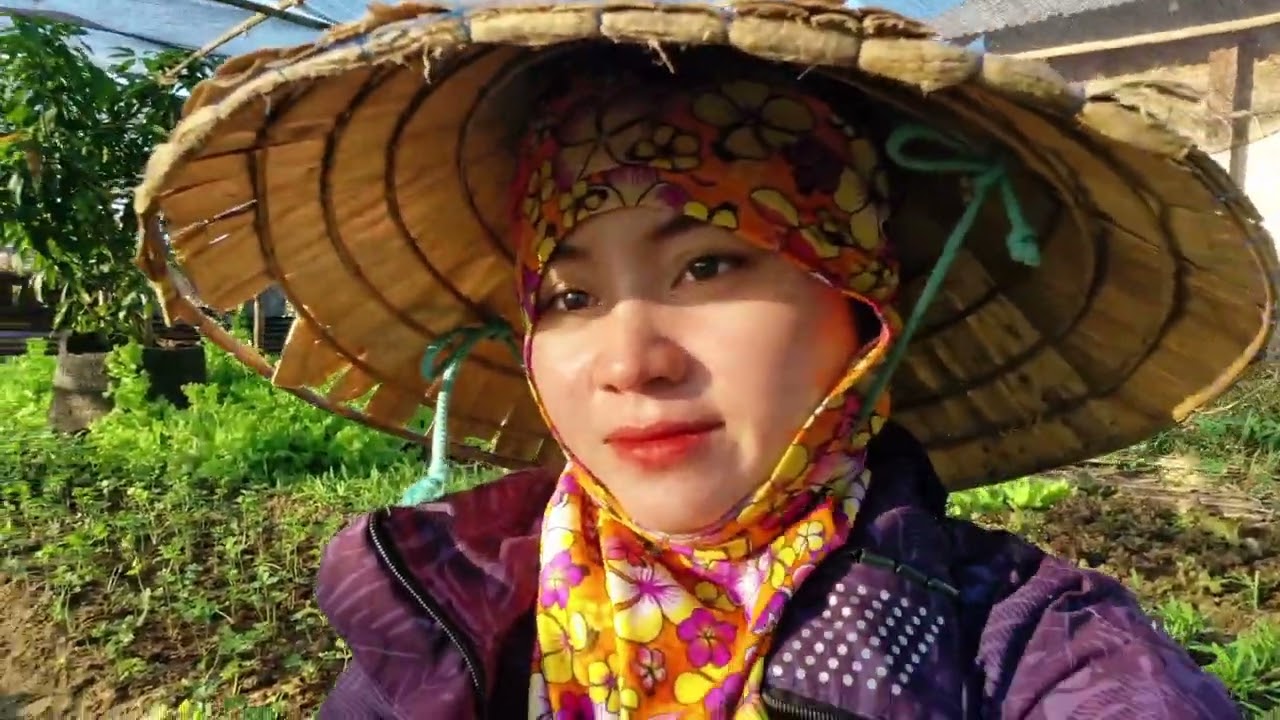 สาวลาว🇱🇦ใช้งบ2000฿ในการมุงหลังคาผัก!!จะคุ้มไหมแบบนี้คงไม่พ้นไปทำงานประเทศไทย🇹🇭