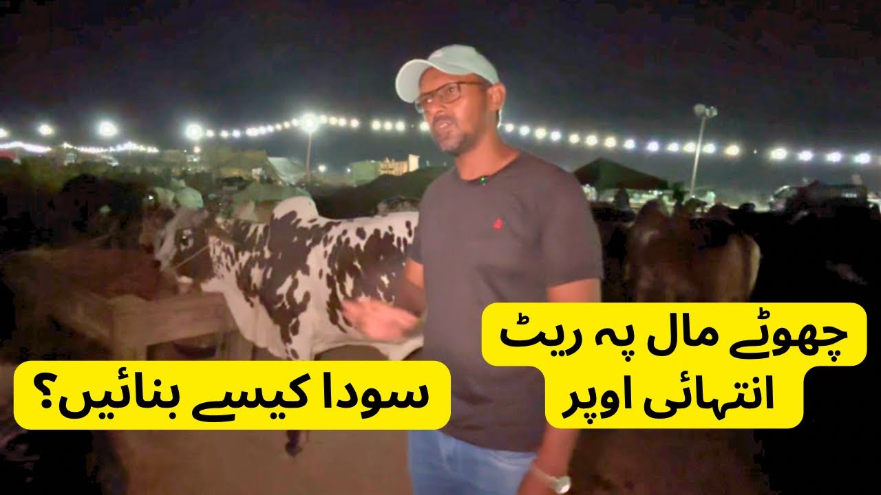 Chotay Maal K Rate Intihai Upar Soda Kaisay Banaye? Northern Bypass Mandi