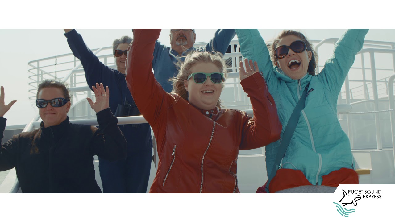 Guaranteed Whale Watching in Seattle
