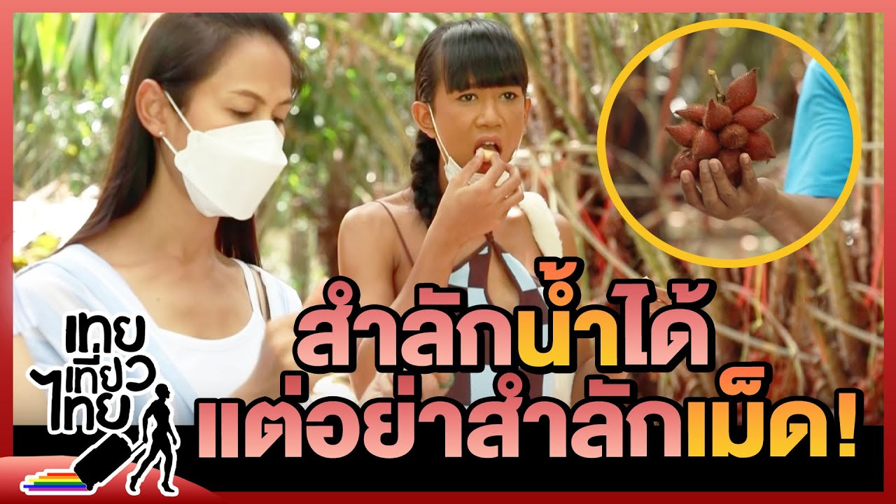 สวนผลไม้ตลกอีกแล้ว! | เทยเที่ยวไทย