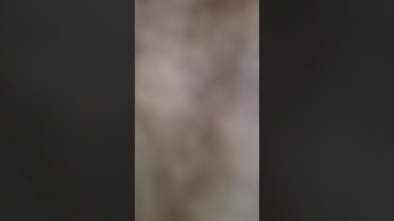 SCORCHED EARTH written by Rebecca and Les Howie 