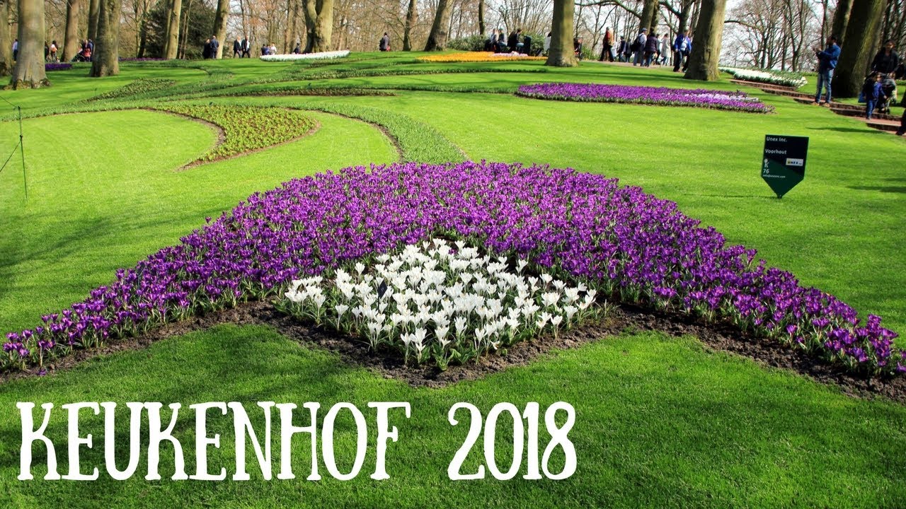 TRAVEL VLOG: KEUKENHOF GARDENS 2018 SPRING FLOWER GARDEN IN NETHERLANDS | INTHEKITCHENWITHELISA