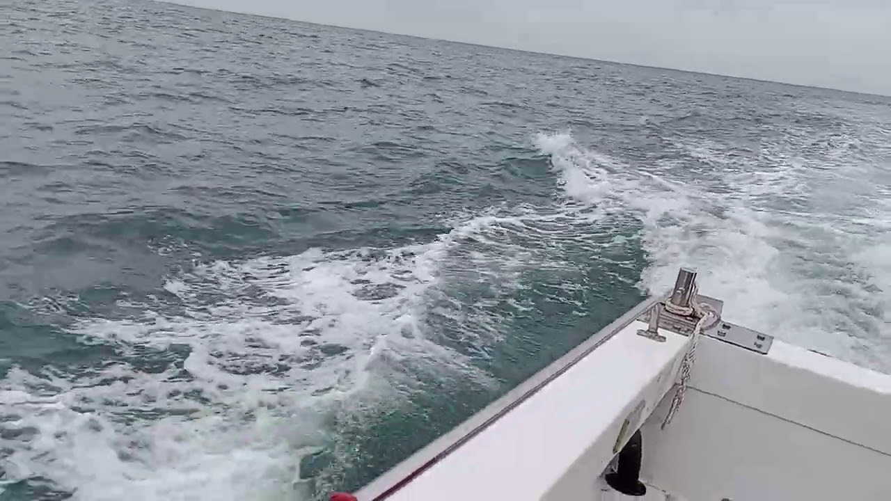 Seacoast Safari part sixteen 