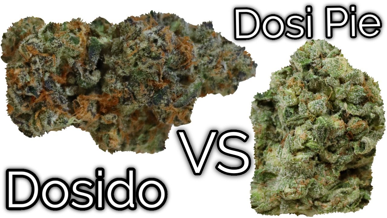 Do-si-do VS Do-si-pie  OFFICIAL STRAIN REVIEW