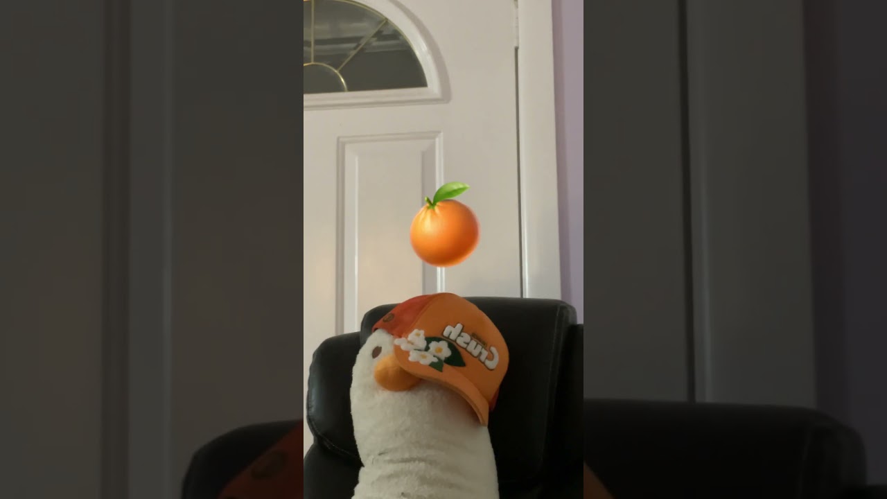 Which is ur fav ✨✨🦆🍌 