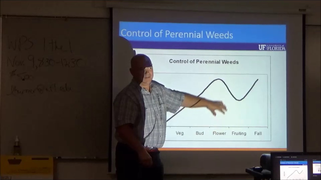 Weeds Control in Pastures : Mowing vs  Herbicides