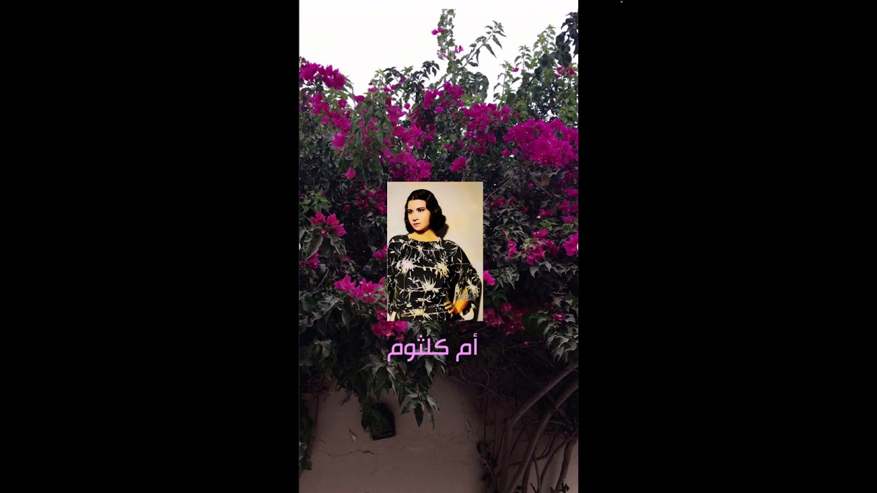 حمامة الأيك من بالشجو طارحها … (مقطع من سلوا كؤوس الطلا) / أم كلثوم