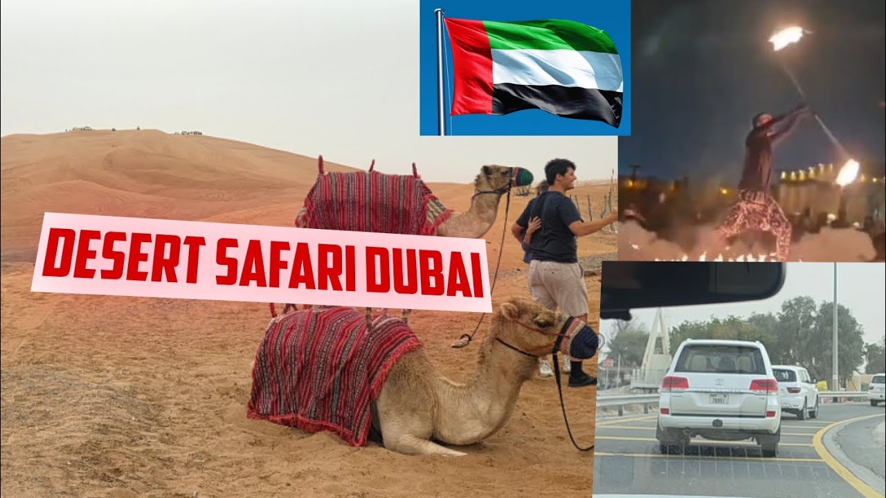 Desert safari adventure ✨️ dubai 🇦🇪 vlog #travel #desertsafari #dubai 