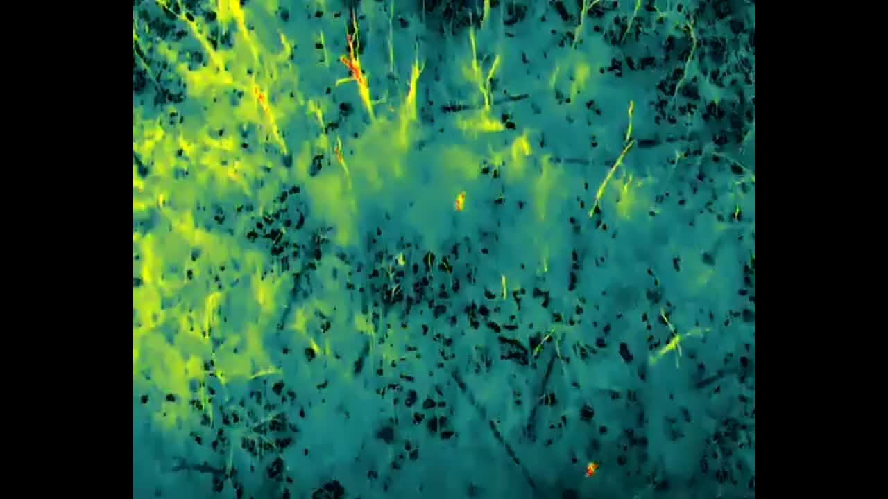 HEAT SEEKING DRONE leads Alabama police to shooting suspects hiding in woods