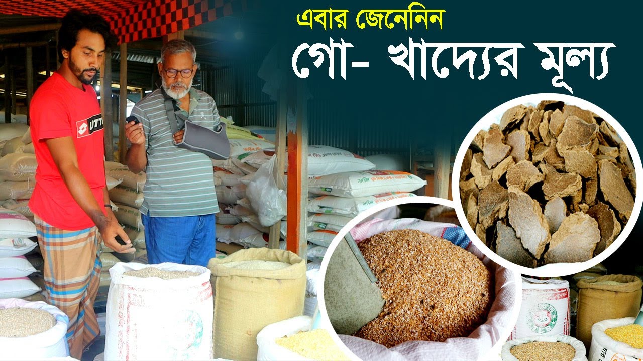 1217-গবাদী পশুর দানাদার খাদ্যের দাম জেনেনিন।- র.ই মানিক চিত্রপুরী- R.I Manik.Chitrapuri Krishichitra