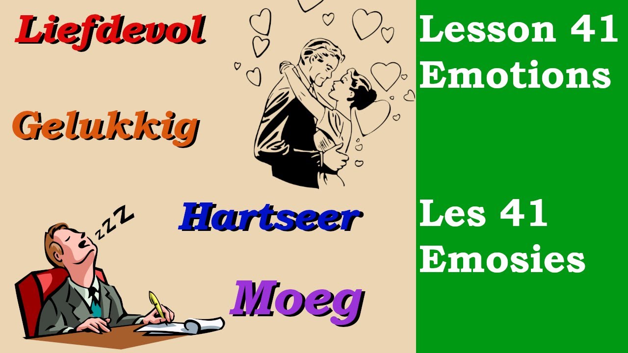 Learn Afrikaans for Beginners | Emotions | Emosies |  Lesson 41
