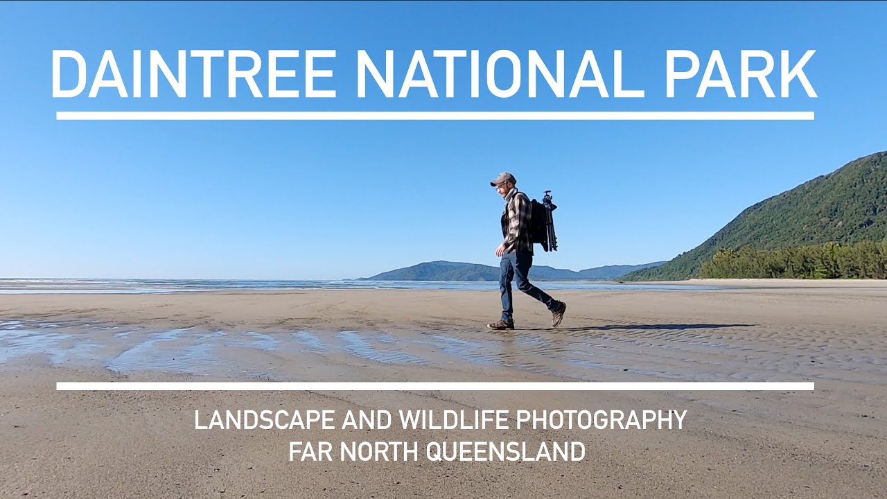2 Days Of Landscape and Wildlife Photography | Daintree National Park