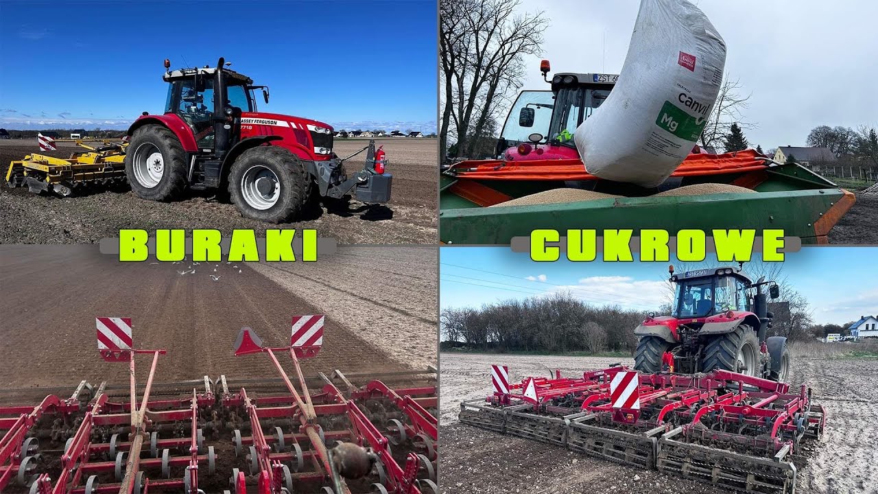 #Vlog odbi&oacute;r nasion buraka / Canwil z magnezem i uprawa.
