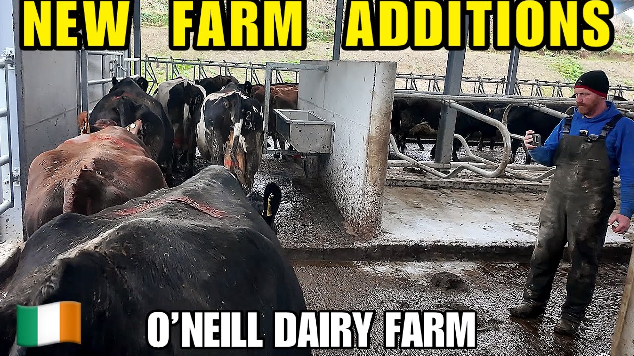 New Additions on the Farm | Gate Installed, ATV Scraper & Calf Shed Update 🐄