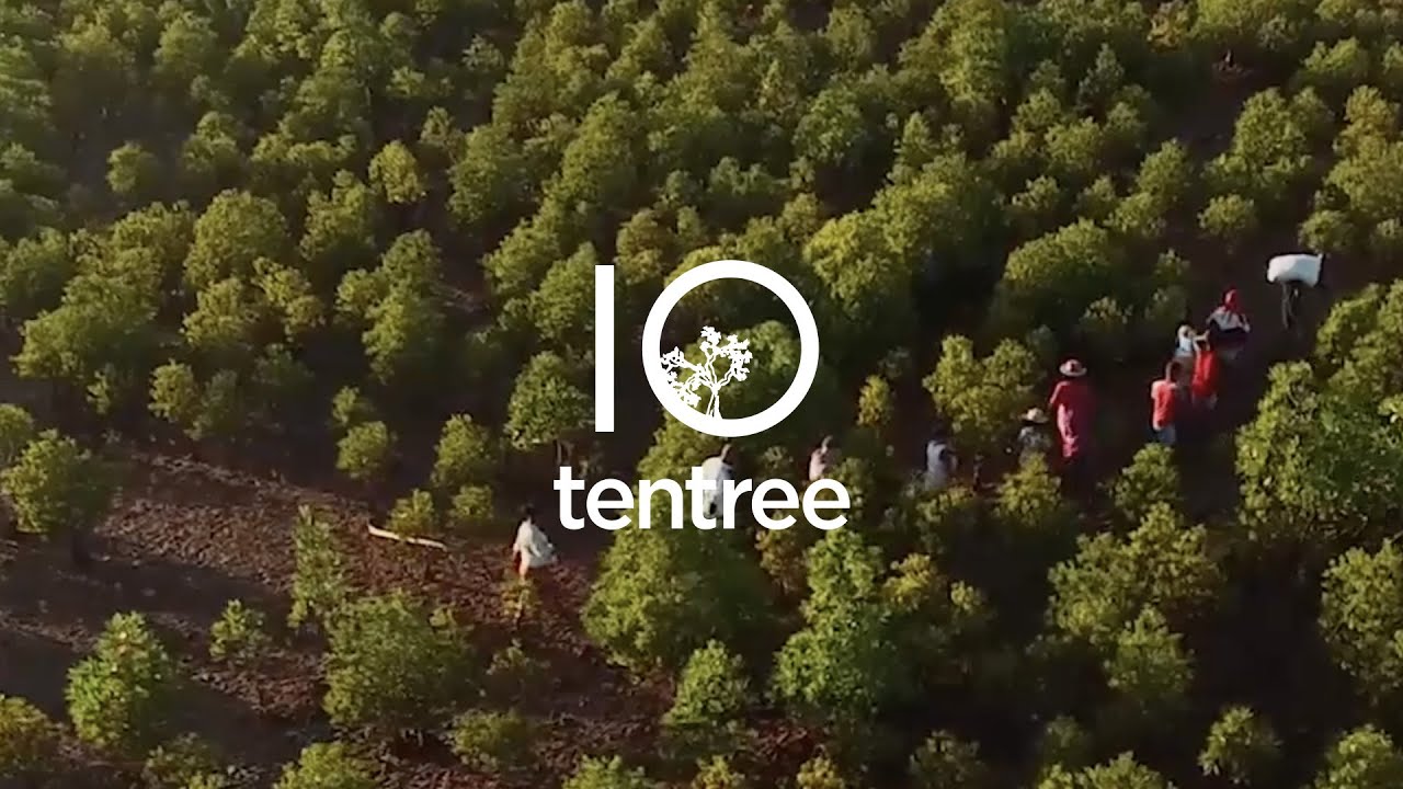 Tentree Founder Anthem - Eventyrsport