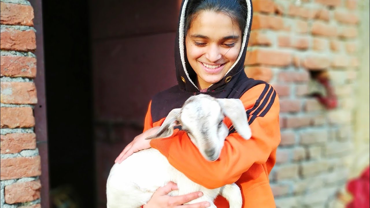 Kumaoni Mountain Village Life || Family in the jungle || Himalayan Glider