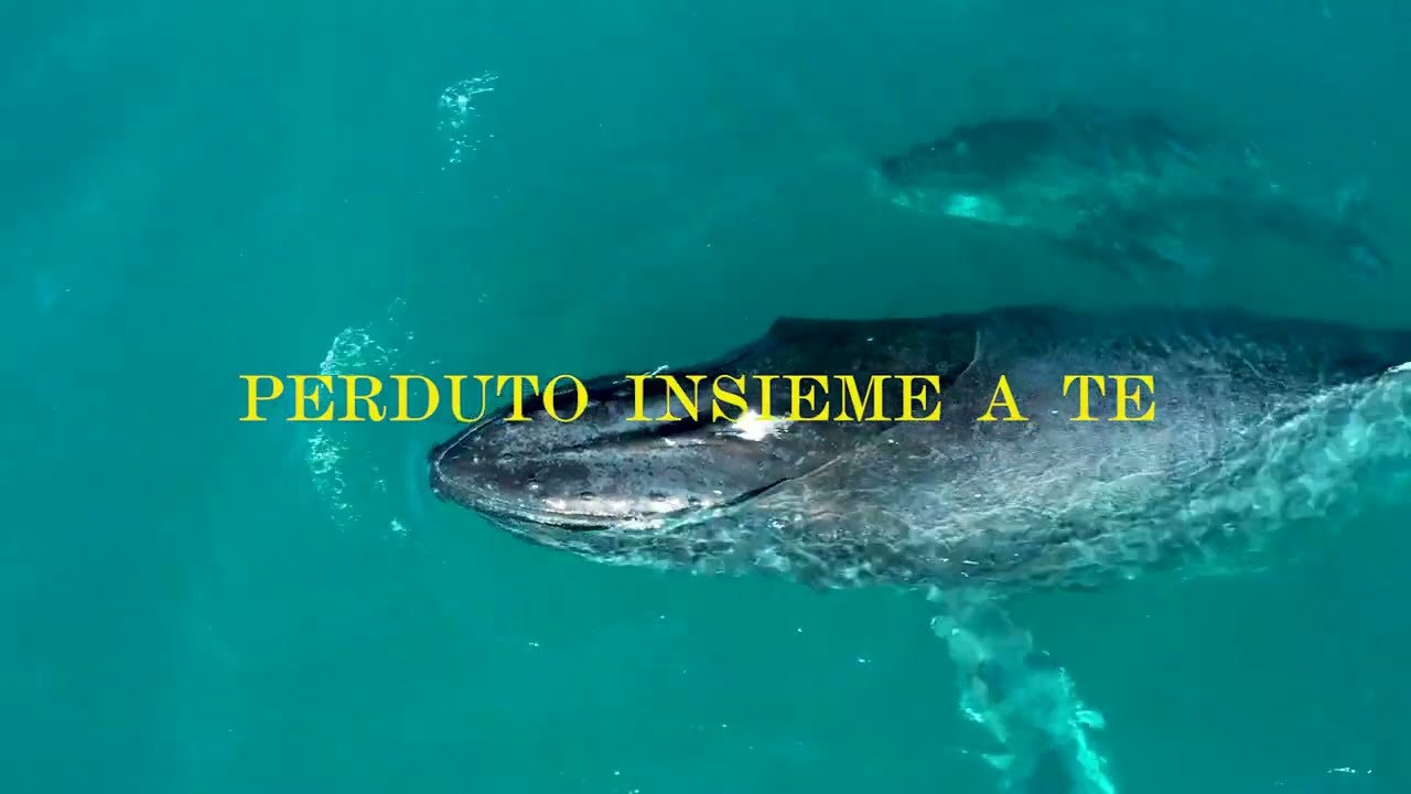 Francesco Bianconi - Perduto Insieme a Te (Lyric Video) [Malika Ayane]