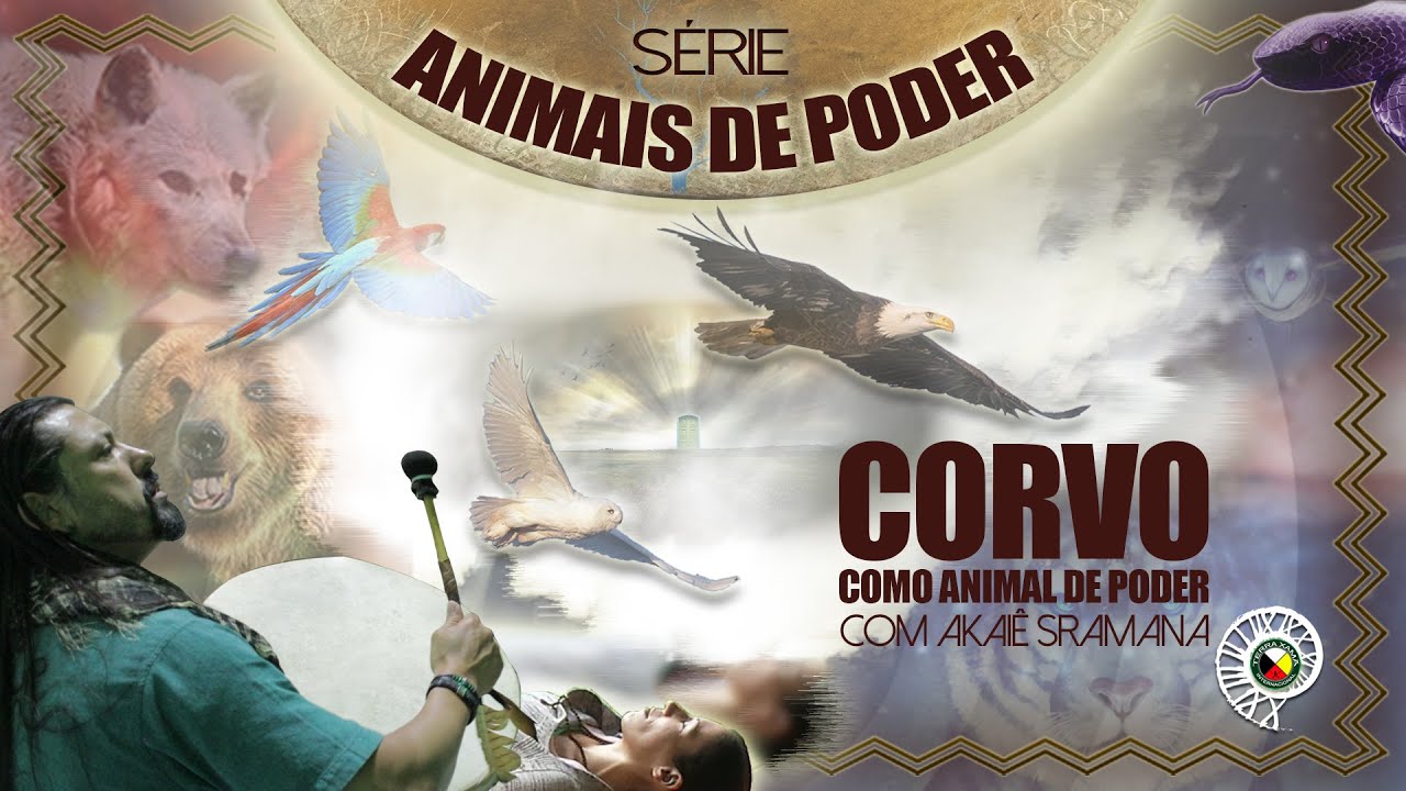 Corvo » Como Animal de Poder » Akaiê Sramana