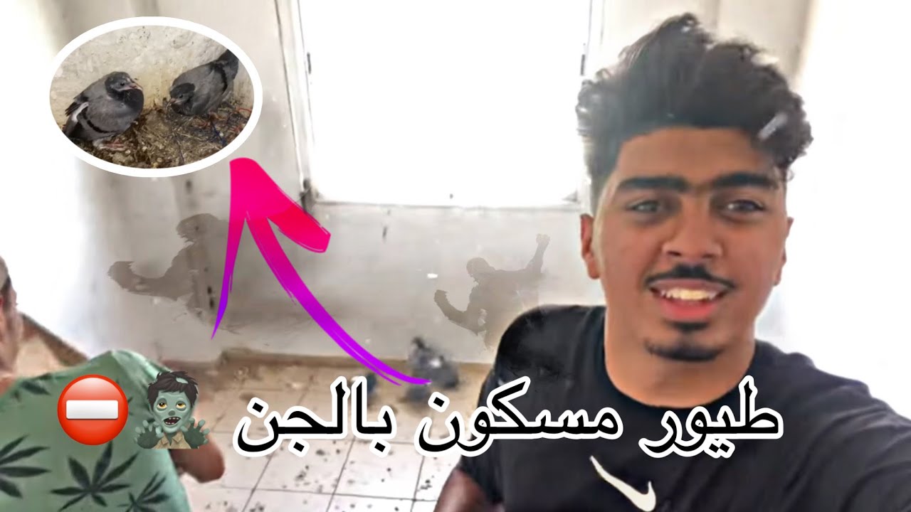 قطعت مسافة 600 كيلومتر و دخلة بيت مهجور فيه الطيور 😧⛔️