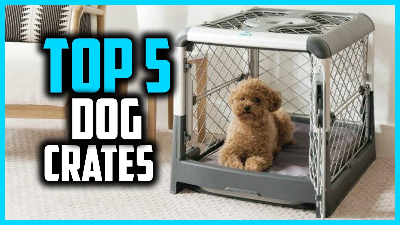 ✅ Best Dog Crates in 2024