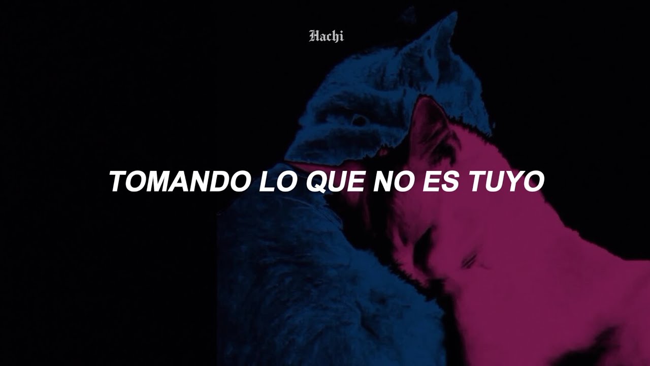 TV Girl ~ Taking What's Not Yours (sub.espa&ntilde;ol)