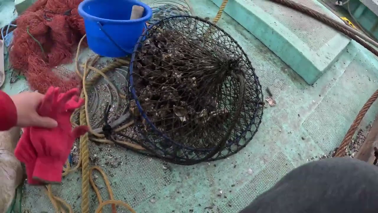牡蠣筏で釣り日記#18　ノーカット
