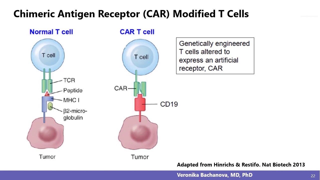 A CRISPR Vision for the Future of Cell Therapy