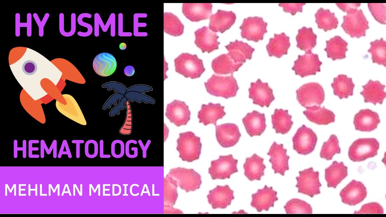 HY USMLE HEMATOLOGY - #260