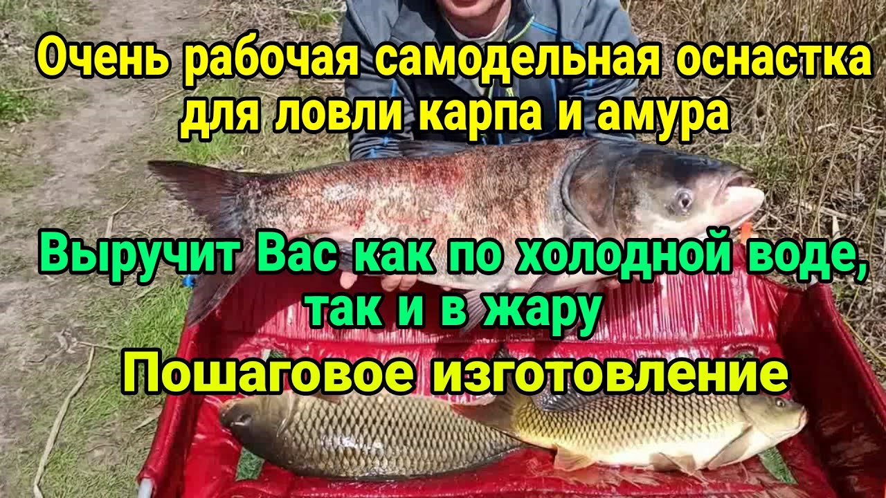 Очень рабочая самодельная оснастка для ловли карпа и амура. Отлично ловит по холодной воде и в жару.