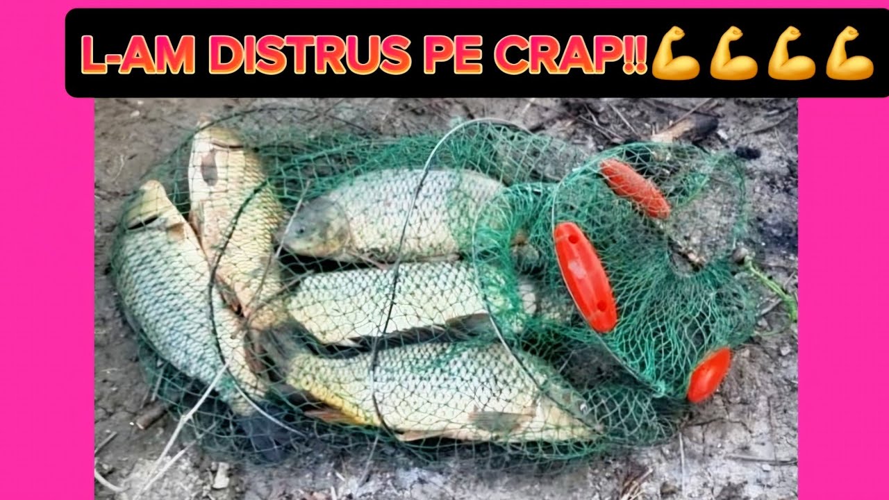 Pescuit incredibil la Crap ,am facut instructie cu Crapul!!!#pescuit #pescuitsalbatic #deltadunarii
