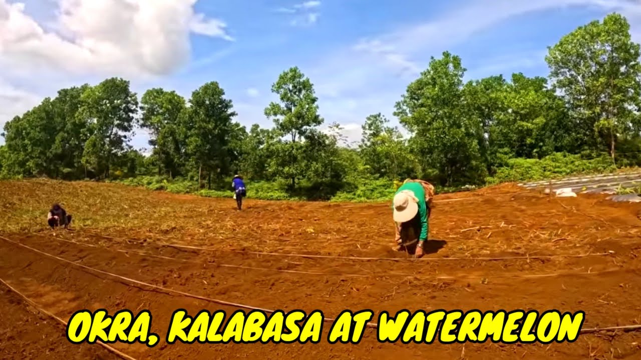 P9 - OKRA, KALABASA AT WATERMELON - EP62