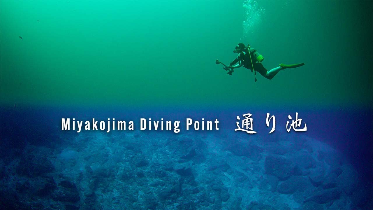 通り池【宮古島ダイビングポイント】 -  Miyako island diving site