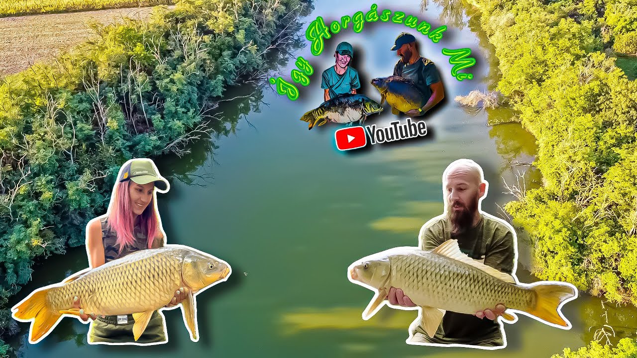 Holt-Körös - Harcsás holtág… Szelektálás? 🤔🎣🐟