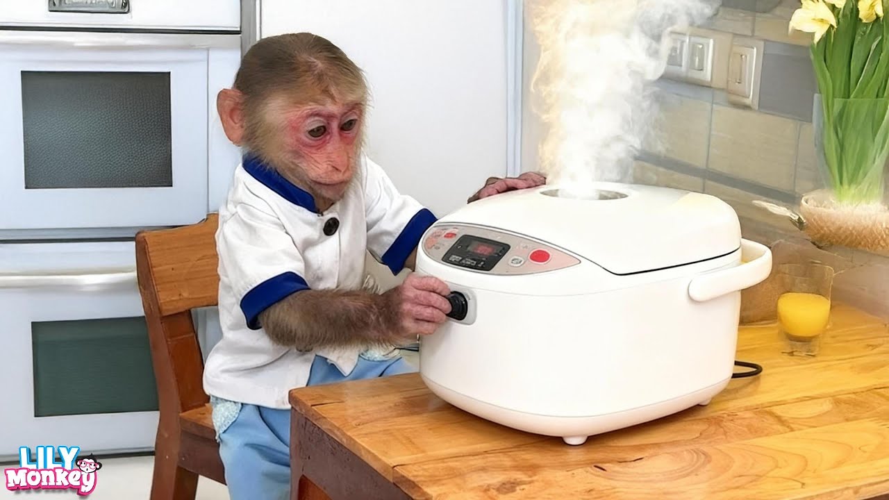 Surprise! Lily knows how to cook rice and wait for Dad to get home | Lily's story