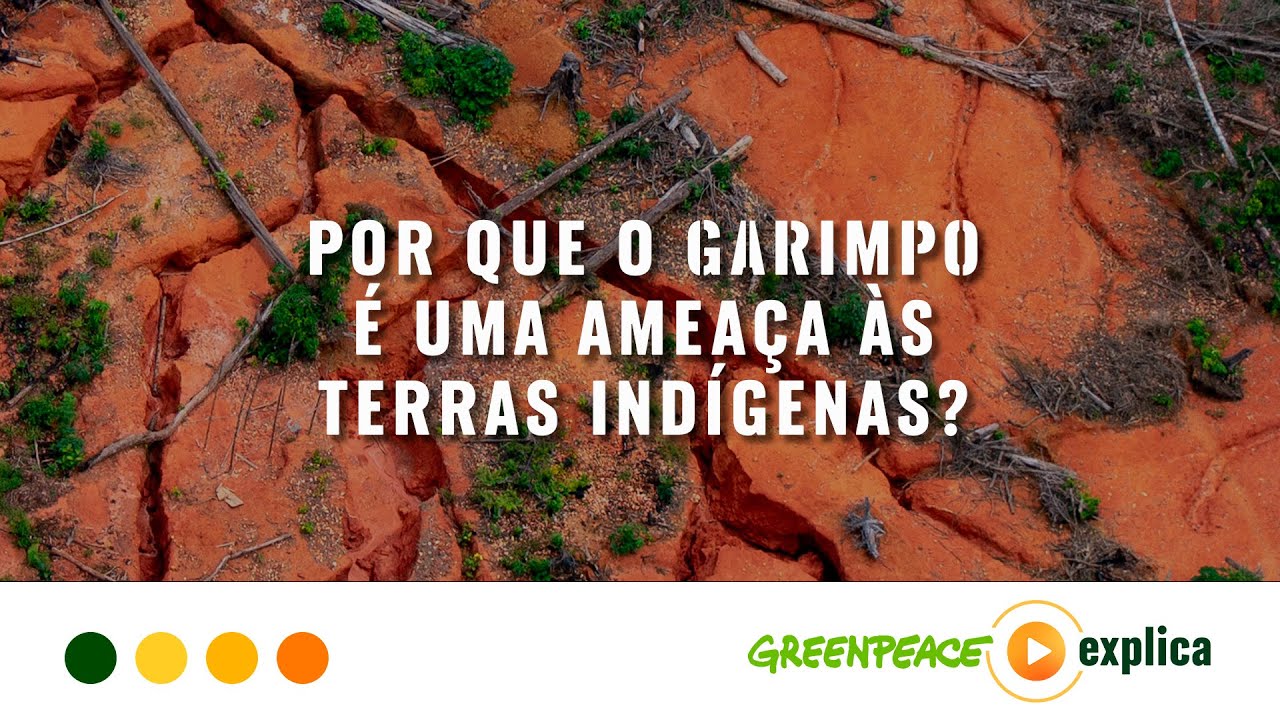 Por que o GARIMPO é uma AMEAÇA às Terras indígenas? - Greenpeace Explica