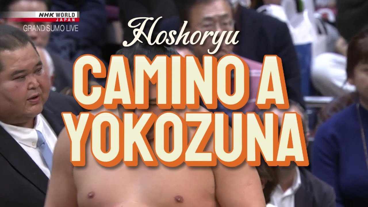 Hoshoryu Camino a Yokozuna - Hatsu Basho 2025