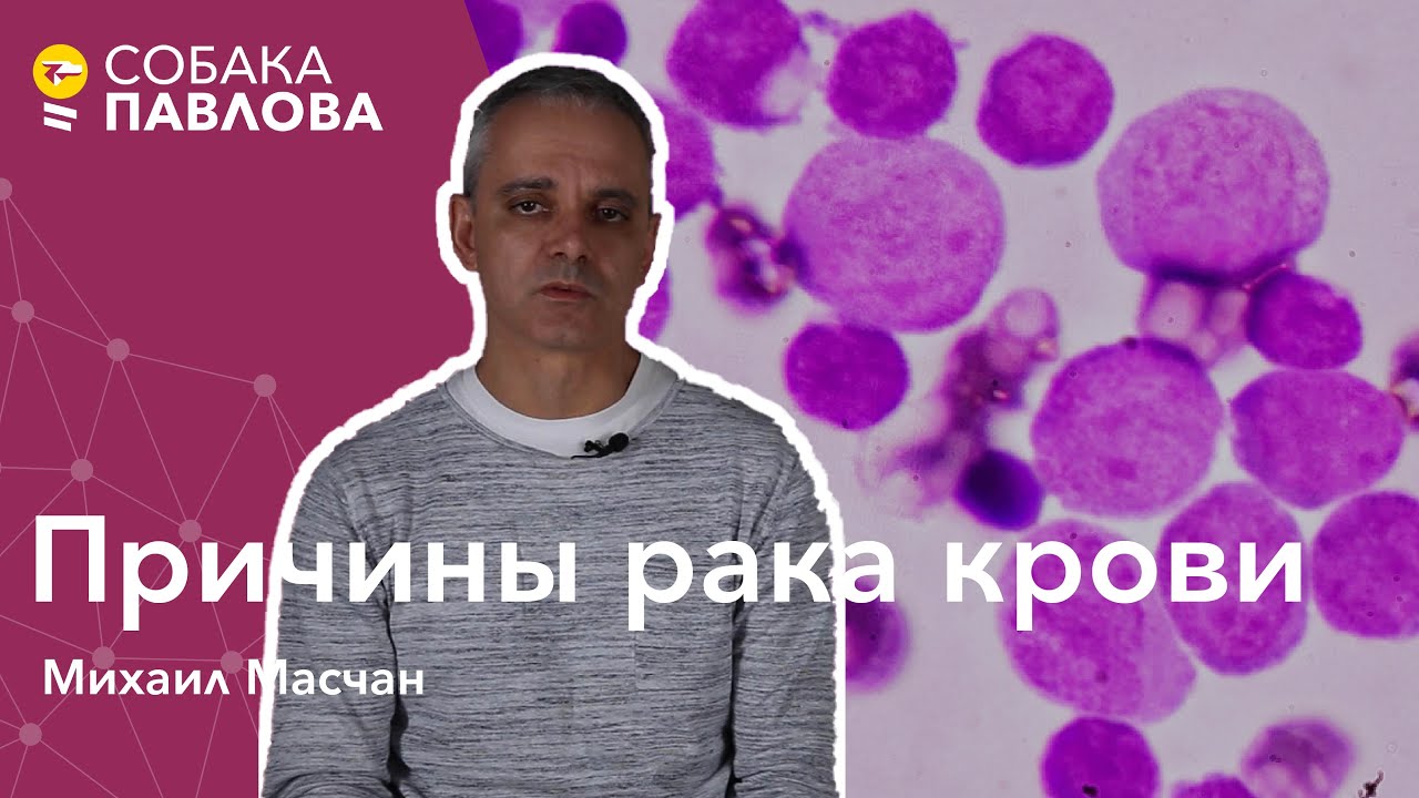 Причины рака крови - Михаил Масчан // мутации, деление и умирание клеток