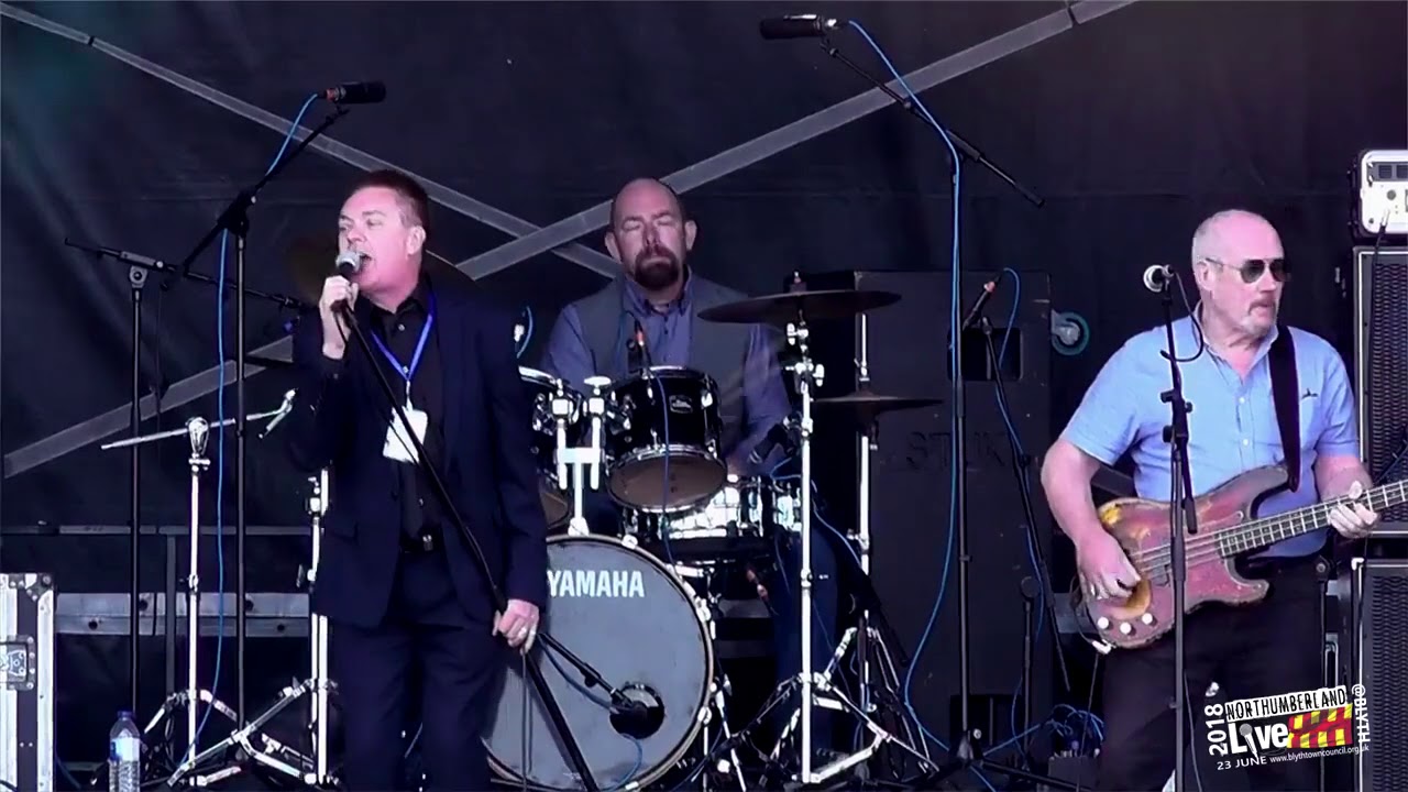 Love The One You're With by The Stax Brothers live.