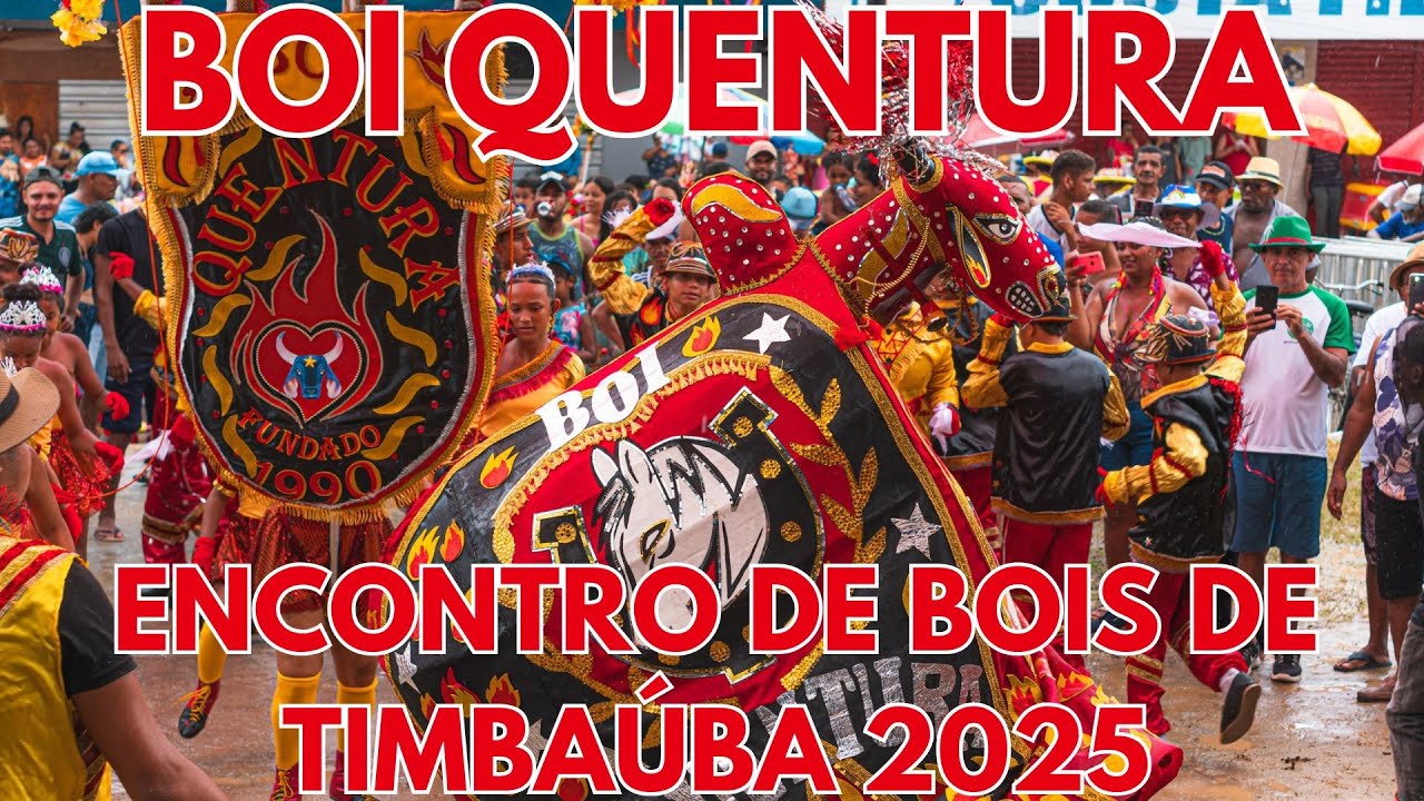BOI QUENTURA 2025 - ENCONTRO DE BOIS DE CARNAVAL DE TIMBAÚBA