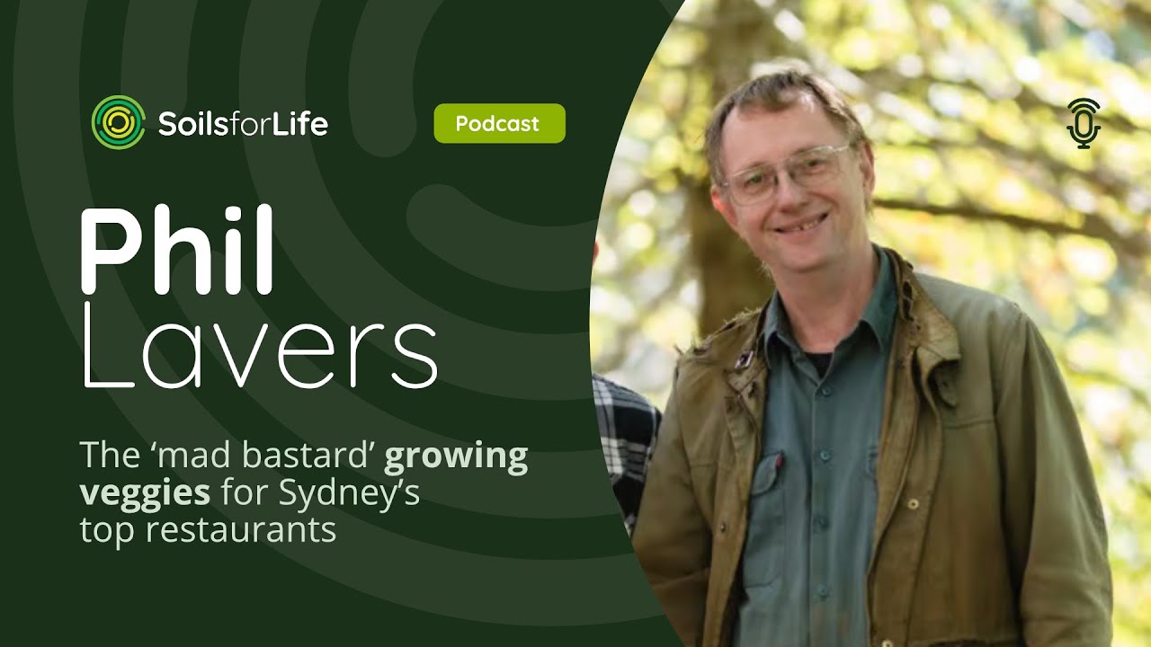 The ‘mad bastard’ growing veggies for Sydney’s top restaurants, with Phil Lavers