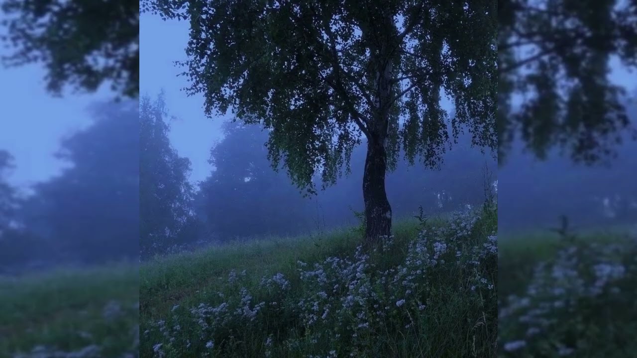 [Free For Profit] Ambient x Cloud Rap - religion