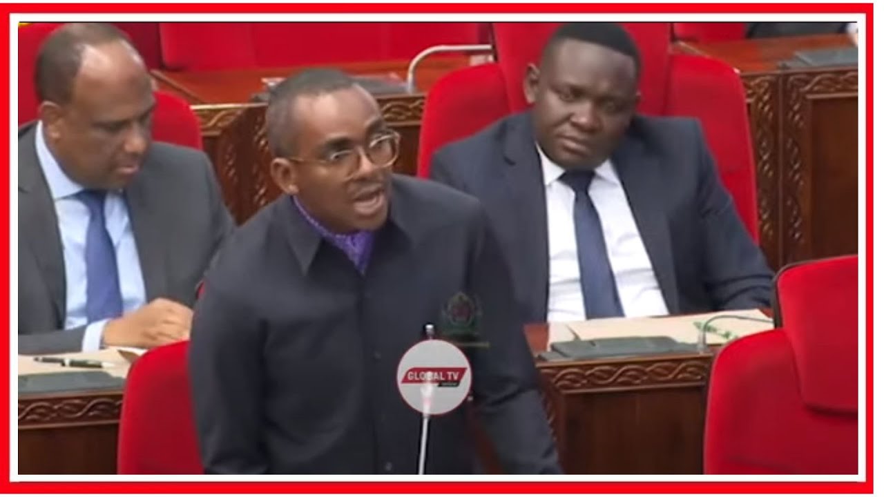 UNA MGOGORO wa ARIDHI? - MSIKILIZE WAZIRI JERRY SILAA KUPITIA KILA KIPANDE cha ARDHI NCHI NZIMA...