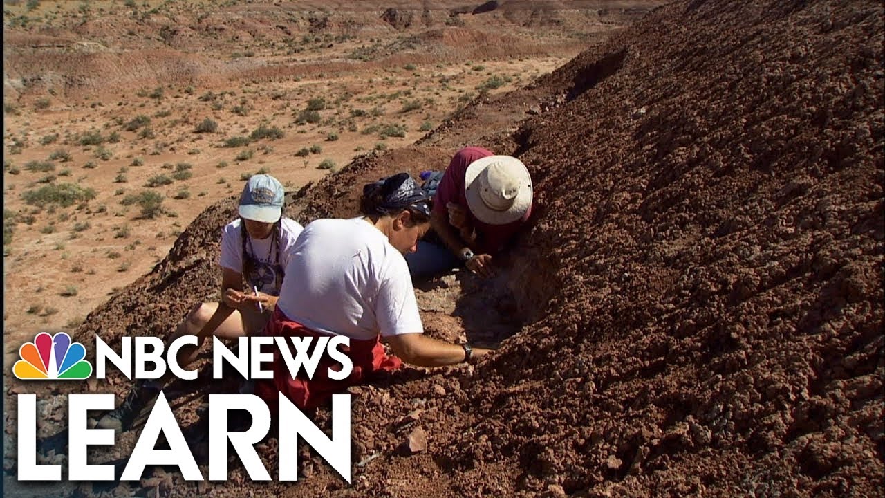 Çatalhöyük: Life in an Ancient Settlement