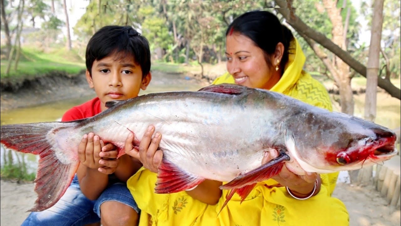 এই প্রথমবার এত বড় মাছ কেটে রান্না করলাম||7kg size পাঙ্গাস মাছের কালিয়া রেসিপি