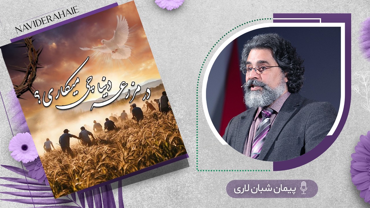 Naviderahaie | در مزرعه‌ی دنیا چی میکاری؟ | پیمان شبان‌لاری
