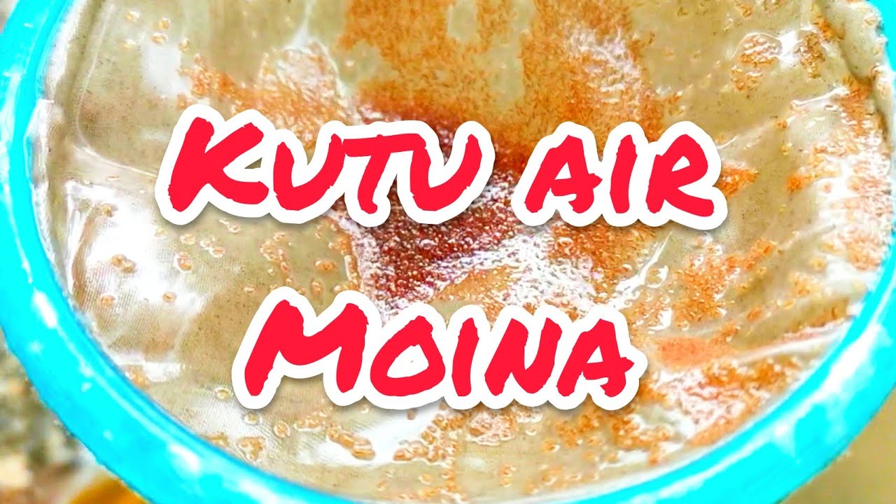 Cara bagi makan ikan laga// moina//kutu air