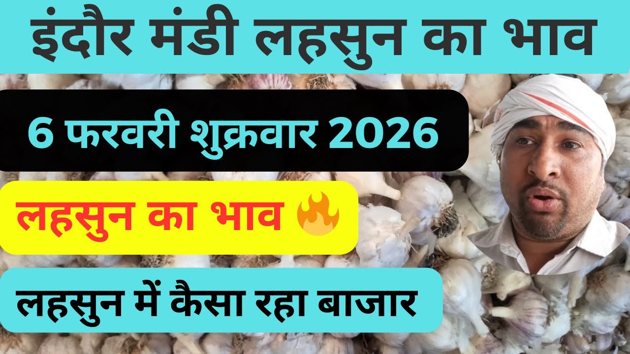mandi bhav indore ।। लहसुन का भाव ।। इंदौर मंडी भाव ।। indore mandi bhav